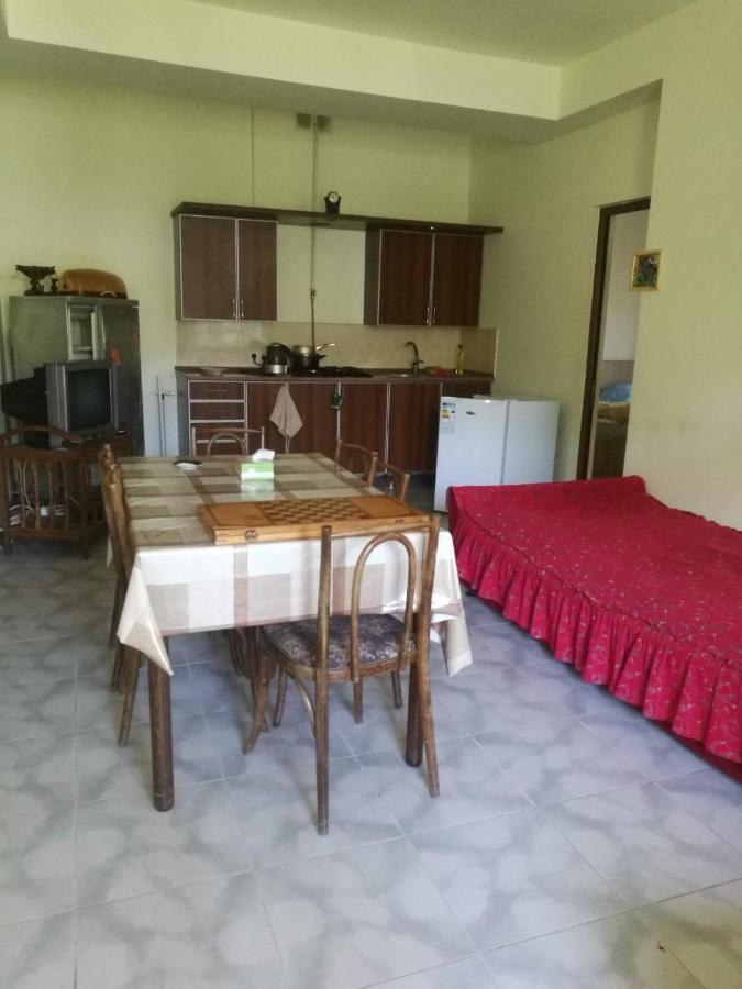 Apartament Artyomi Toon Dilidżan Zewnętrze zdjęcie